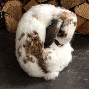 Schermafbeelding 2015-08-19 om 22.28.32